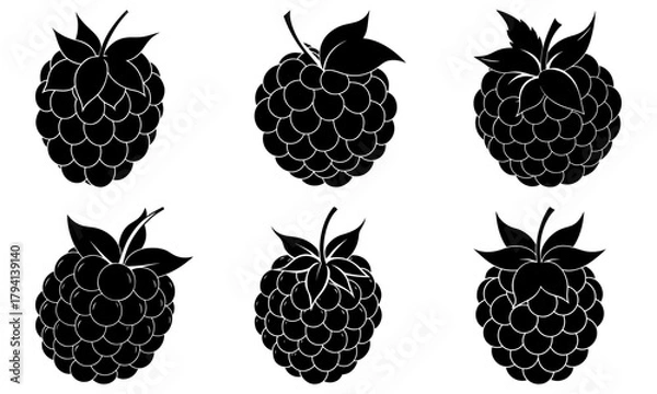 Fototapeta Collection of six stylized black raspberry silhouettes with leaves in a symmetrical arrangement