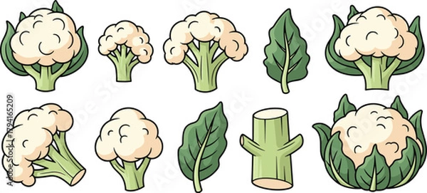 Obraz Cartoon cauliflower and spinach, vegetable illustration set, healthy food design, leafy greens artwork, child-friendly vector, nutrition theme, cooking ingredient, plant-based diet graphic