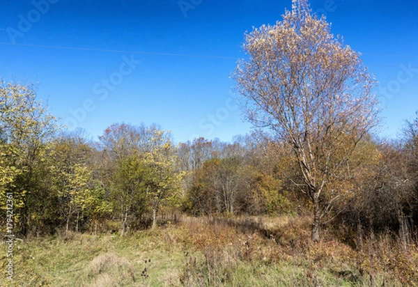 Obraz Autumn in the countryside, the morning sun warming the ground that had cooled during the night