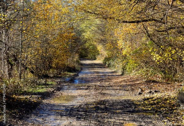 Obraz Autumn in the countryside, the morning sun warming the ground that had cooled during the night