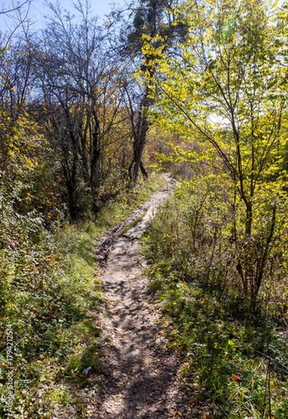 Obraz Autumn in the countryside, the morning sun warming the ground that had cooled during the night