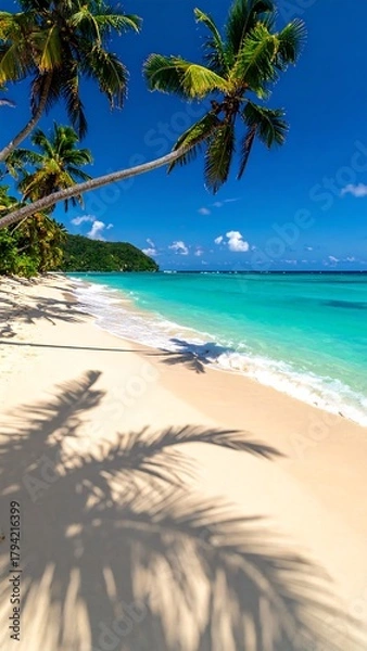 Fototapeta A vibrant tropical scene with a white sandy beach, clear turquoise water, and palm trees casting shadows. The sky is bright blue