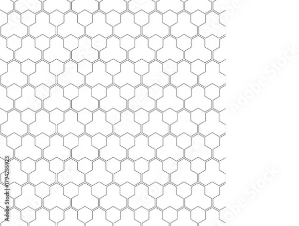 Obraz Monochrome pattern featuring a repeating tessellation of geometric shapes