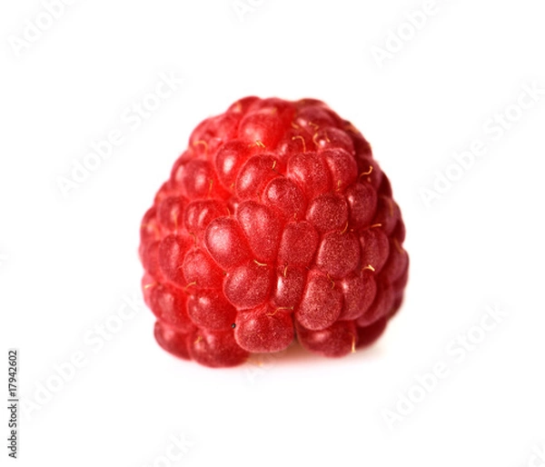 Obraz raspberry - isolated shot
