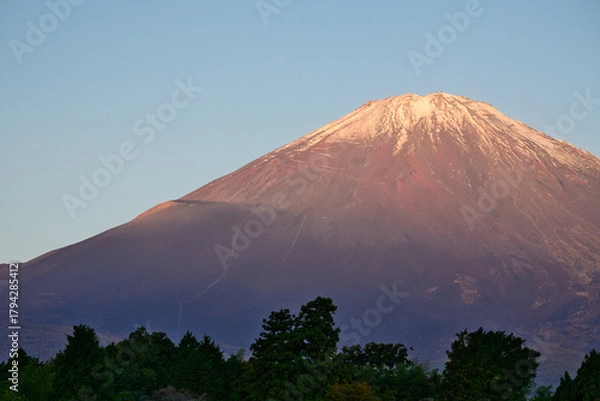 Fototapeta 朝日を浴びる富士山