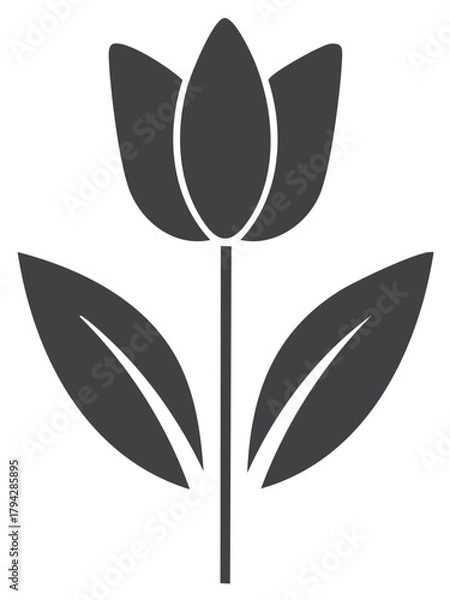 Fototapeta Stylized Tulip Flower Silhouette with Leaves Simple Floral Icon Design Element