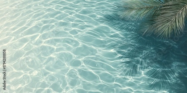 Obraz The Palm Fronds Casting Shadow Over Crystal Turquoise Water With Gentle Sunlit Ripples