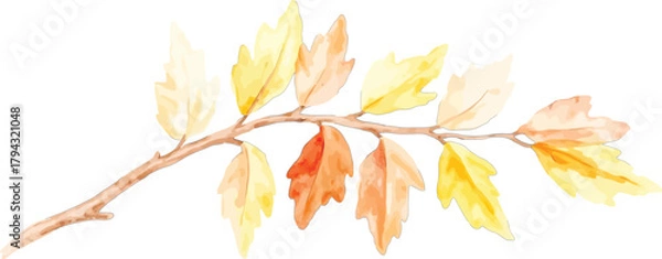 Obraz Watercolor painting of a branch with autumn leaves, transparent background, vector, illustration