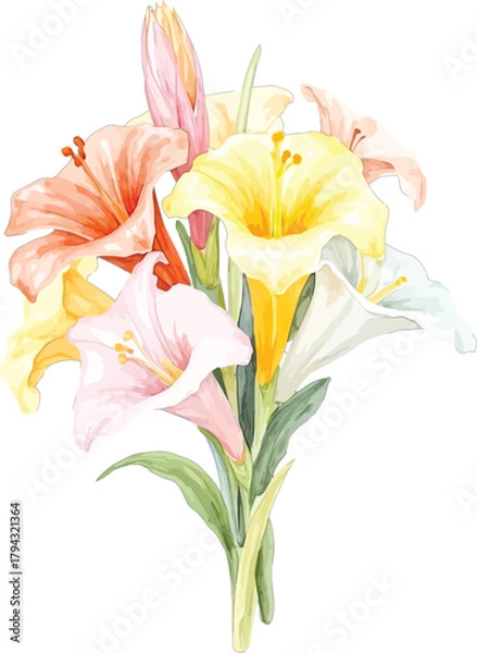 Obraz Watercolor painting of a bouquet of colorful lilies, transparent background, vector, illustration