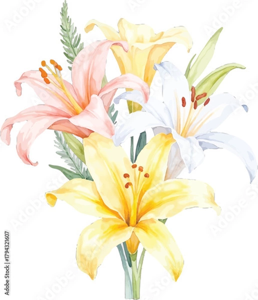 Obraz Watercolor illustration of a lily bouquet, transparent background, vector, illustration