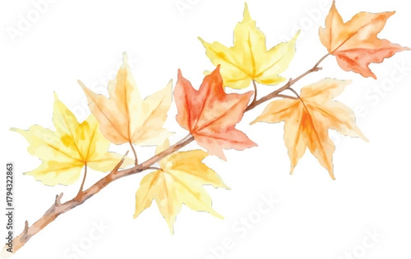 Obraz Watercolor painting of maple leaves branch, transparent background, vector, illustration