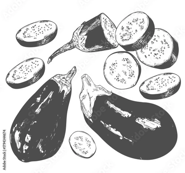 Fototapeta Hand Drawn Eggplant, half a eggplant and a slice. Black and white. Vector illustration, isolated on a white background.