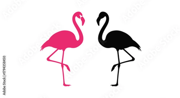 Fototapeta A pair of flamingos one pink and one black in a simple illustration