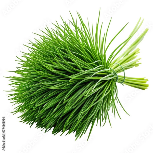 Fototapeta Bunch of green chives tied together,isolated on a black background