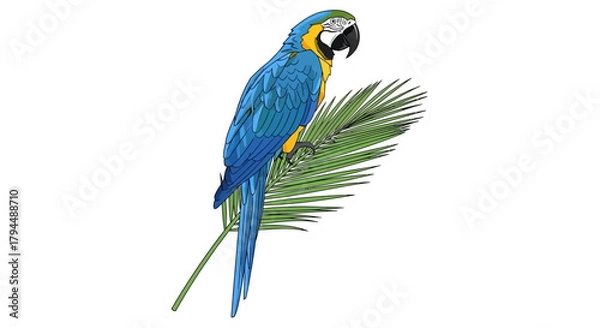 Fototapeta A vibrant blue-and-yellow macaw parrot perched on a green palm frond against a white background.