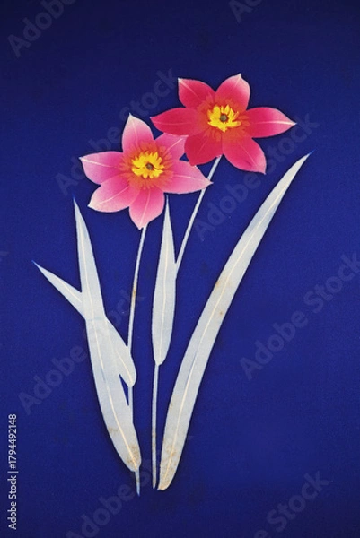 Obraz アンティークの帯生地