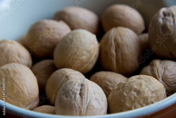 Fototapeta ripe walnuts in a white-cornered bowl.
