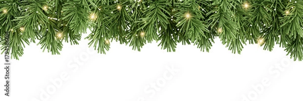 Obraz christmas tree branches isolated on transparent