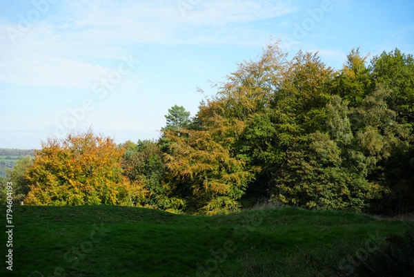 Fototapeta Autumn Foliage At Black Rocks, Cromford, Derbyshire, With Vibrant Green And Golden Trees Under A Clear Blue Sky, Capturing The Tranquil Beauty Of The Peak District.