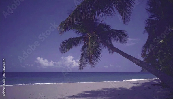 Fototapeta palm tree on the beach vintage photo