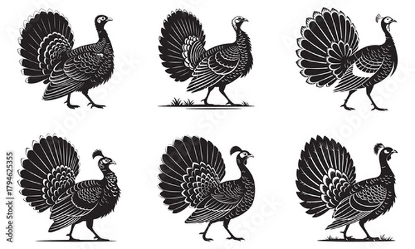 Obraz Stylized black and white vector illustrations of turkeys displaying fanned tail feathers.

