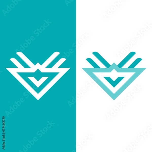 Fototapeta Dynamic Geometric Star V Logo Design