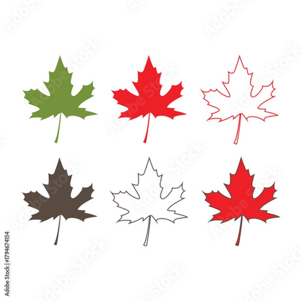 Fototapeta Maple leaf. Isolated maple on white background
