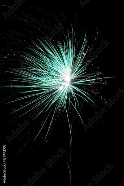 Fototapeta Fireworks spectacular