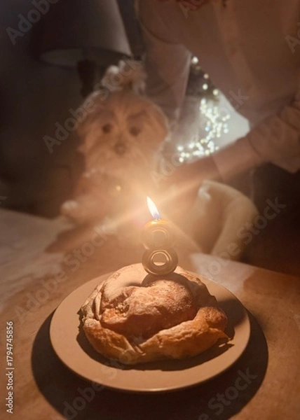 Obraz Small White Dog Celebrating 8th Birthday with Cake on Table – Warm and Cozy Pet Portrait