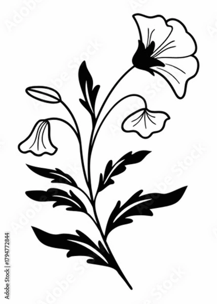 Fototapeta Minimilist illustration of a blooming flower with leaves and stem in black and white style line art design vector