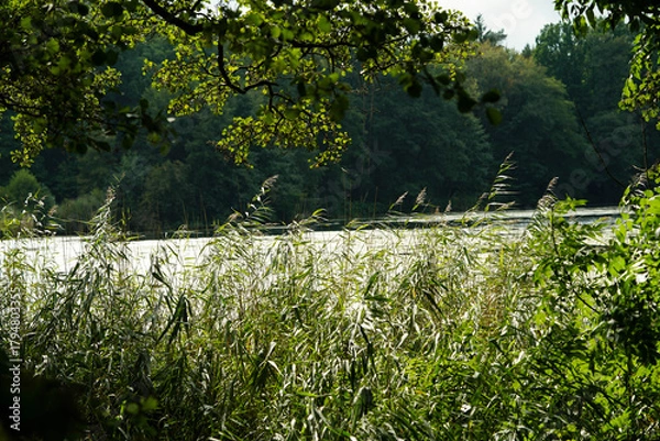 Fototapeta Wanderweg rund um den See von Appelbeck im Herbst