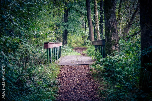 Obraz Wanderweg rund um den See von Appelbeck im Herbst