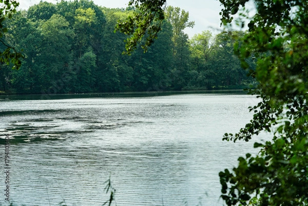 Obraz Wanderweg rund um den See von Appelbeck im Herbst