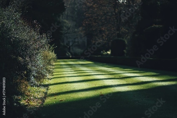 Fototapeta A close-up low angle view of vibrant green grass in a well-maintained garden setting