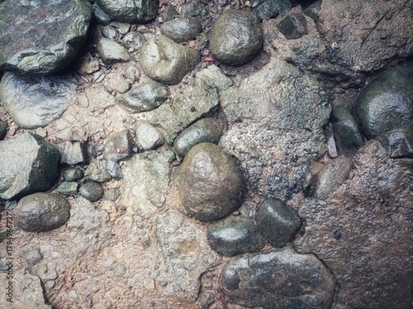 Fototapeta wet natural stone texture with earthy tones, smooth and rough surfaces, showing detailed shapes and arrangement of rocks on moist ground.