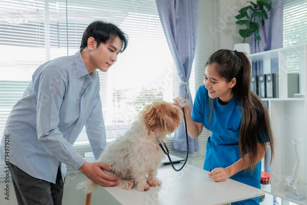Fototapeta Indoor veterinary clinic with dog, vet, and owner during pet health consultation and treatment.
