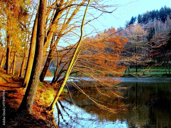 Obraz chemin en automne