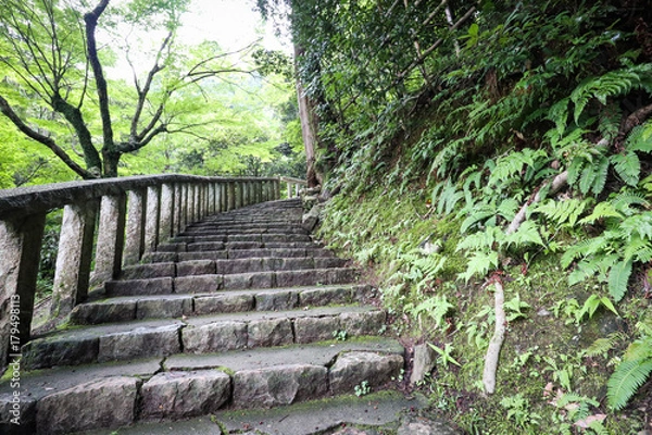 Fototapeta 神社の階段