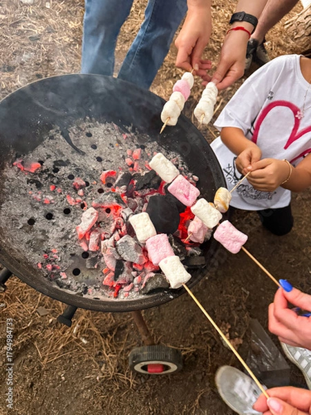 Fototapeta group roasting marshmallows over glowing charcoal, hands of adults and children holding skewers toward ember
