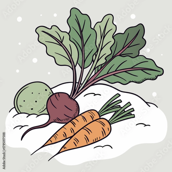 Obraz Root Vegetables on Snowy Background