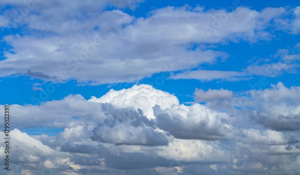 Fototapeta A beautiful white cumulus cloud is illuminated by the sun