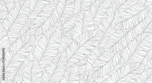 Fototapeta Stylized black and white outline pattern of overlapping tropical banana leaves with visible veins, creating a dense natural background texture.