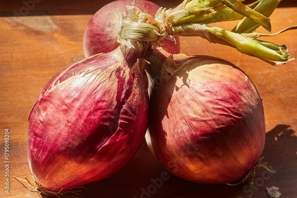 Obraz A bunch of raw, whole, red onions