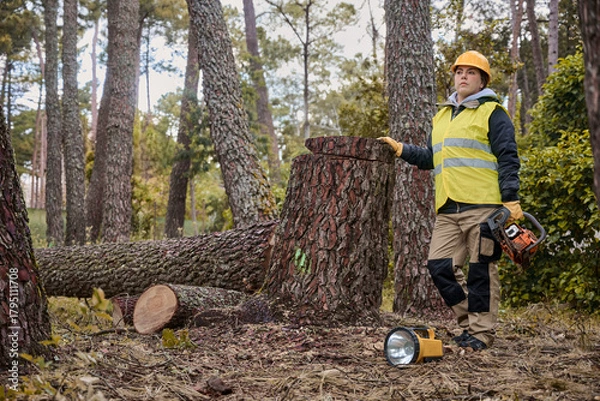 Obraz Young female employee of a tree felling company in a pine forest with cut trees equipped with a chainsaw, electric torch, and protective workwear