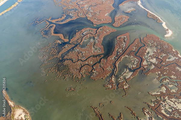 Fototapeta Drone view of dried river channels and marshes depicting severe water shortage and climate crisis