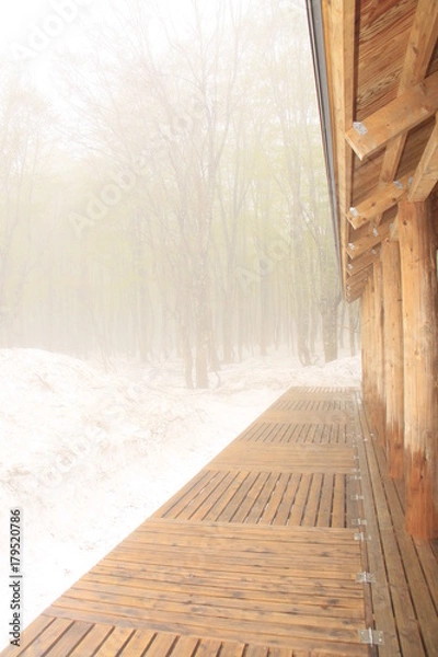 Fototapeta 早春の八甲田