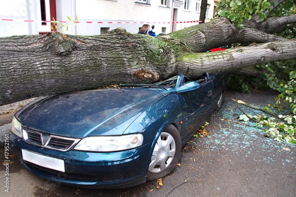 Obraz Storm damage car