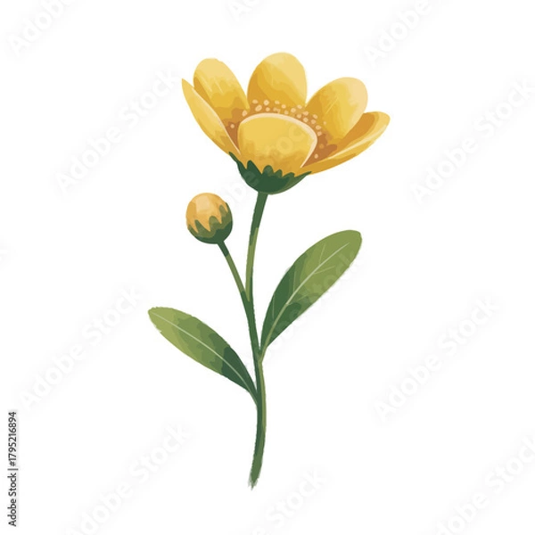 Fototapeta Watercolor illustration of a single yellow flower with a bud and green leaves