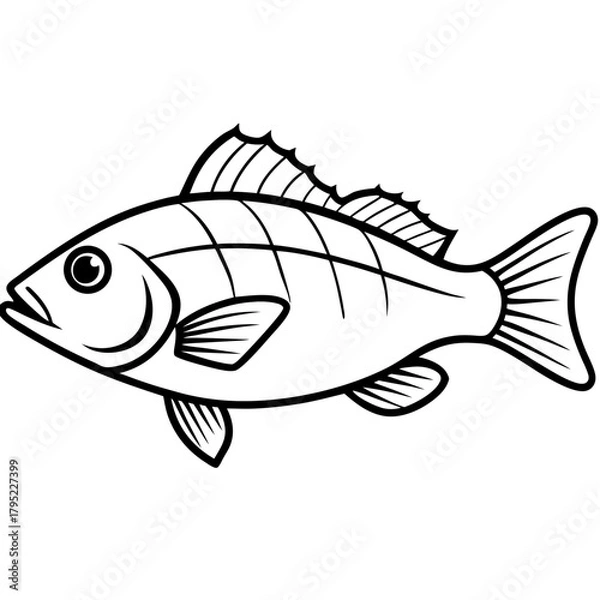 Fototapeta Snapper line art vector