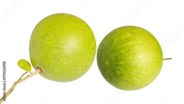 Obraz Pomelo fruit isolated on Transparent background.